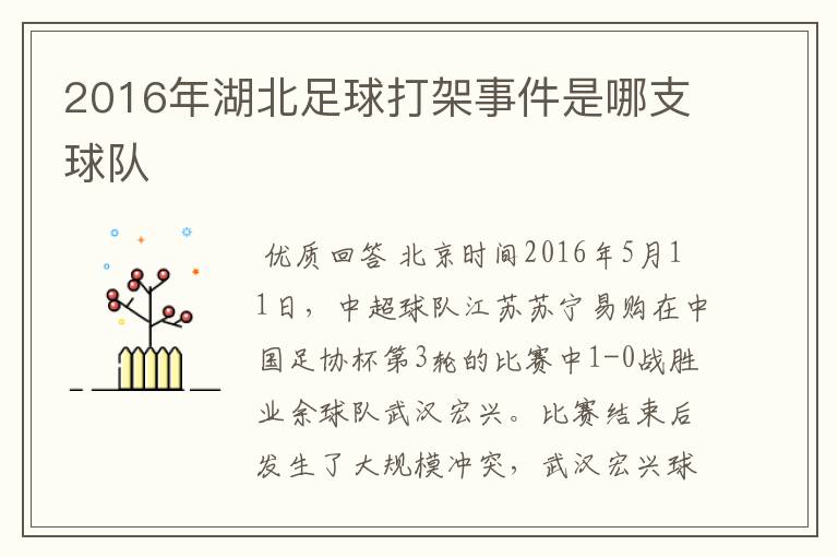 2016年湖北足球打架事件是哪支球队