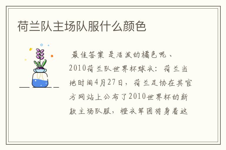 荷兰队主场队服什么颜色
