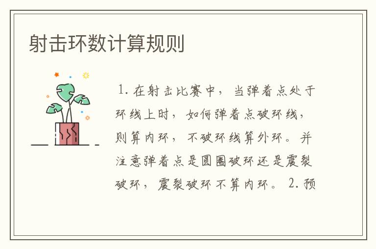 射击环数计算规则