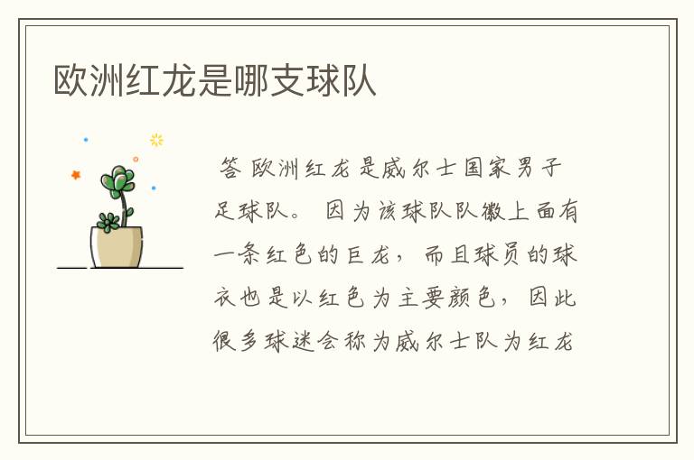 欧洲红龙是哪支球队