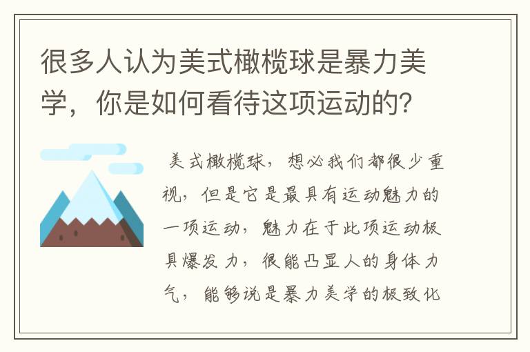 很多人认为美式橄榄球是暴力美学,你是如何看待这项运动的?