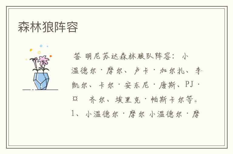 森林狼阵容