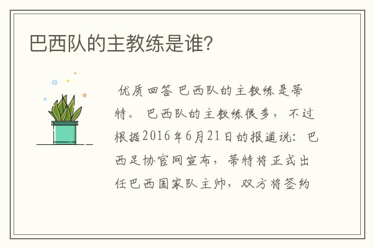 巴西队的主教练是谁?