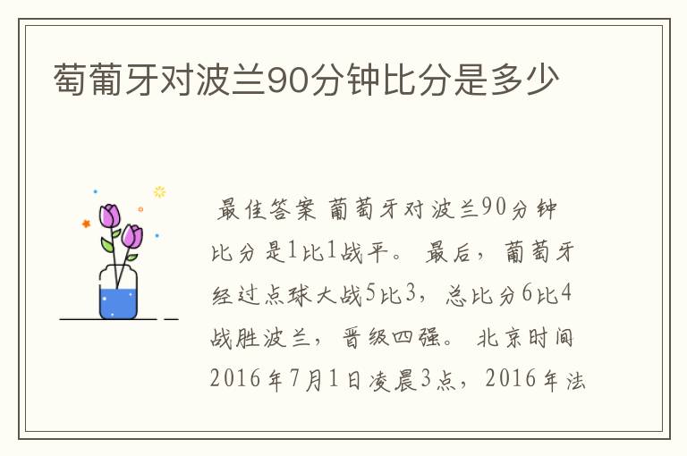 萄葡牙对波兰90分钟比分是多少