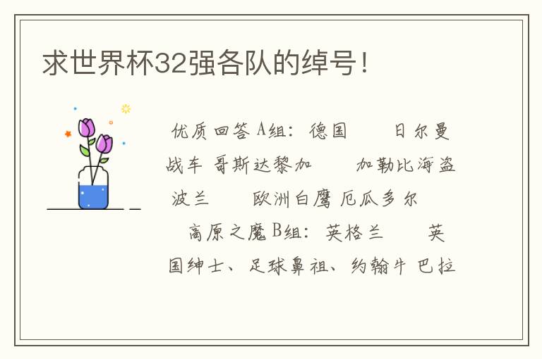 求世界杯32强各队的绰号!