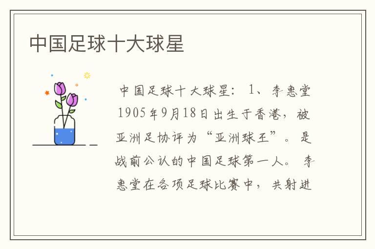中国足球十大球星