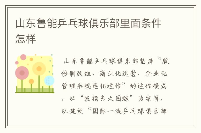 山东鲁能乒乓球俱乐部里面条件怎样