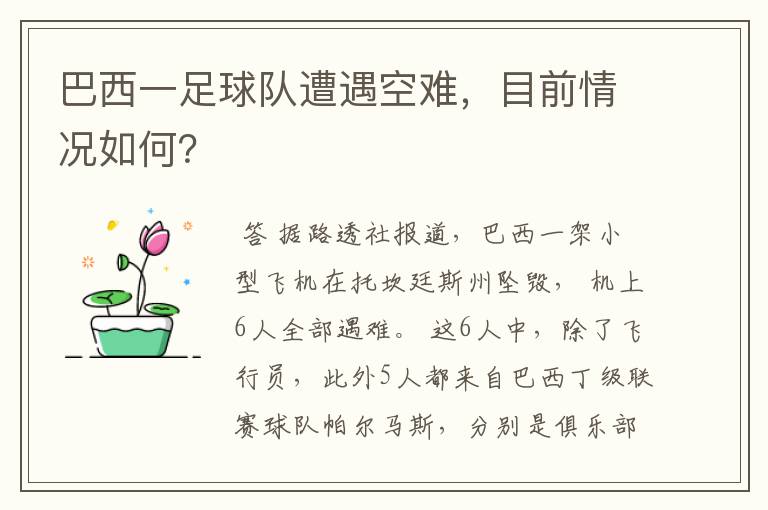 巴西一足球队遭遇空难,目前情况如何?
