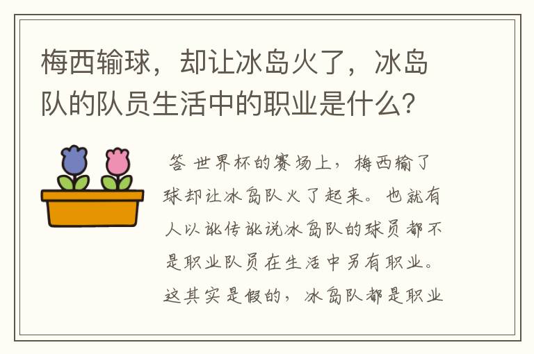 梅西输球,却让冰岛火了,冰岛队的队员生活中的职业是什么?