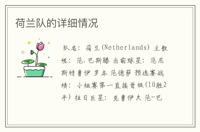 荷兰队的详细情况