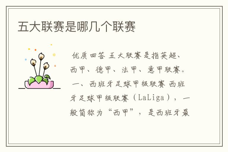 五大联赛是哪几个联赛