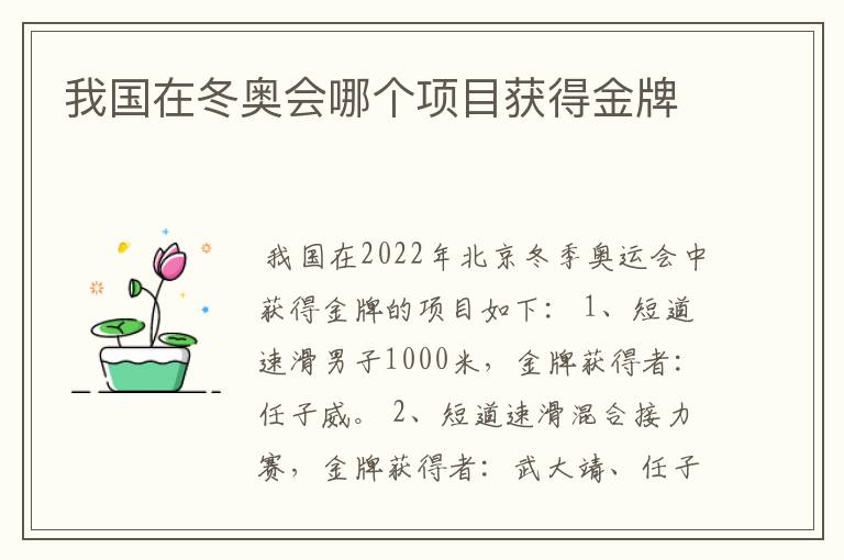 我国在冬奥会哪个项目获得金牌