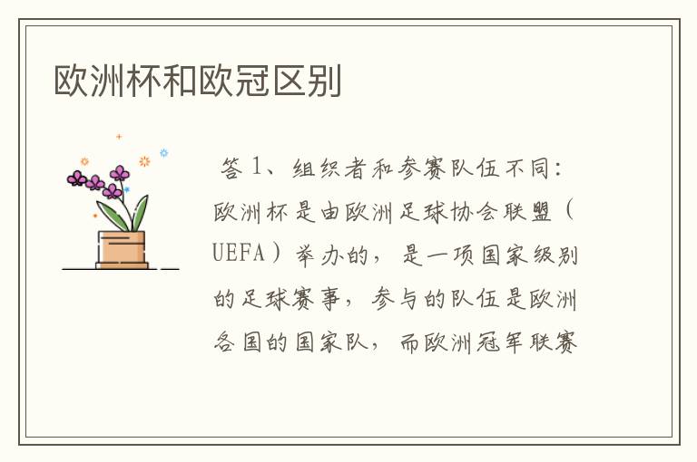 欧洲杯和欧冠区别