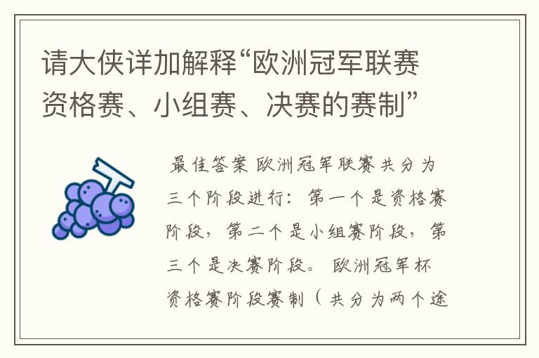 请大侠详加解释“欧洲冠军联赛资格赛、小组赛、决赛的赛制”?