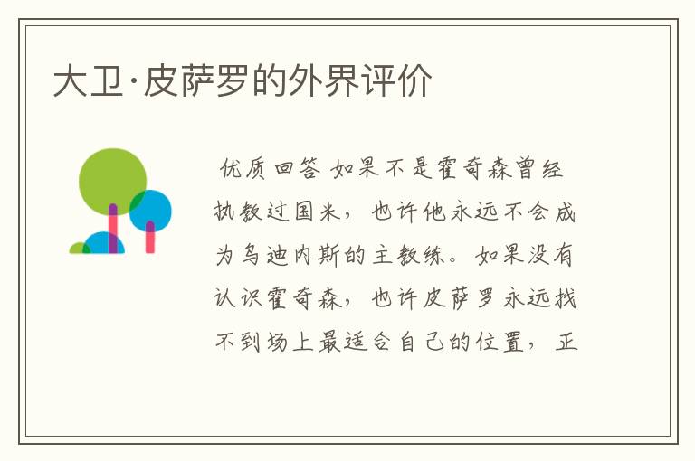 大卫·皮萨罗的外界评价