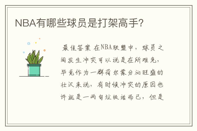 NBA有哪些球员是打架高手?