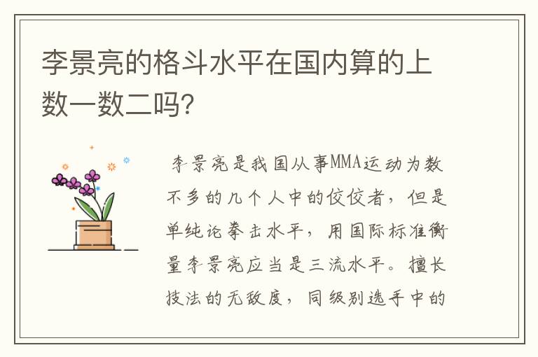 李景亮的格斗水平在国内算的上数一数二吗？