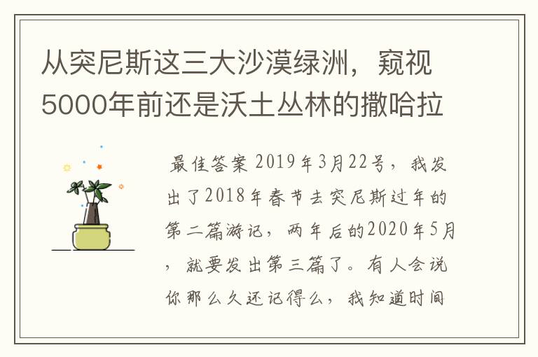 从突尼斯这三大沙漠绿洲，窥视5000年前还是沃土丛林的撒哈拉容颜