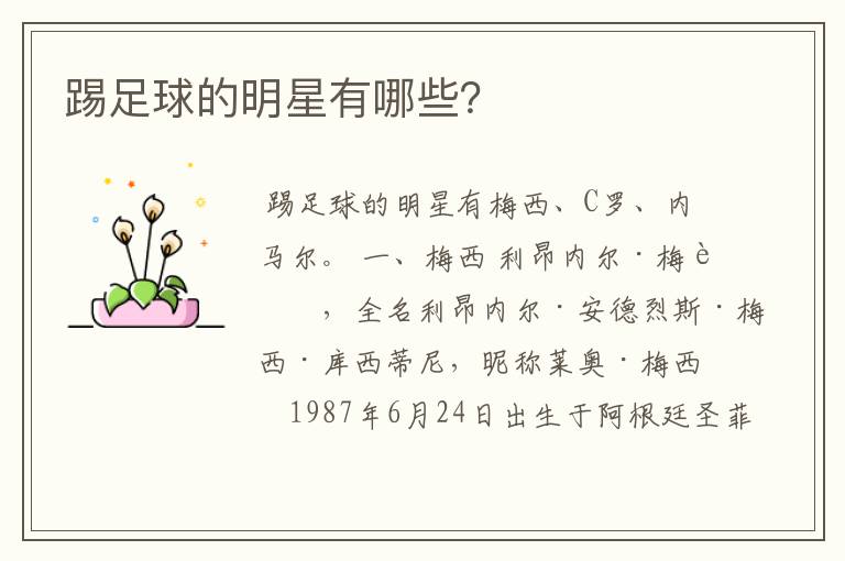 踢足球的明星有哪些?
