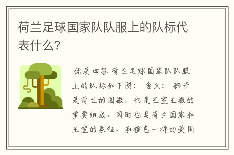 荷兰足球国家队队服上的队标代表什么?