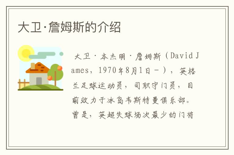 大卫·詹姆斯的介绍