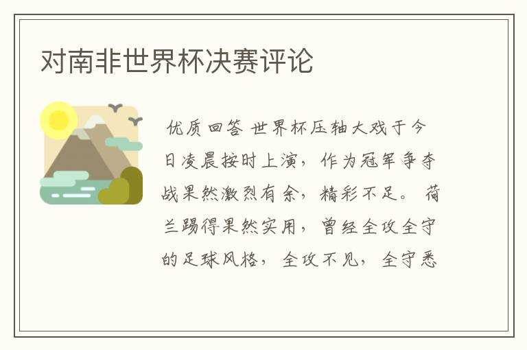 对南非世界杯决赛评论