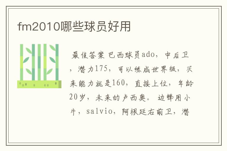 fm2010哪些球员好用