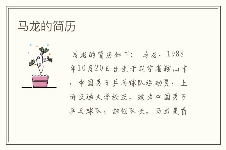 马龙的简历
