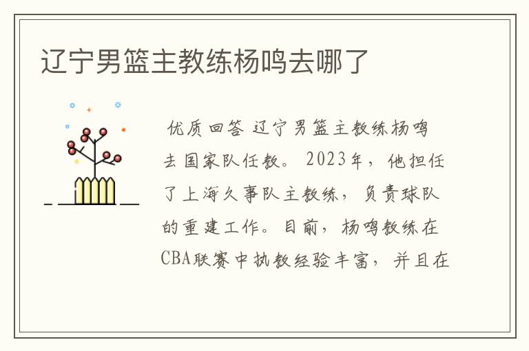 辽宁男篮主教练杨鸣去哪了