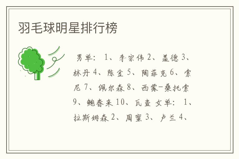 羽毛球明星排行榜