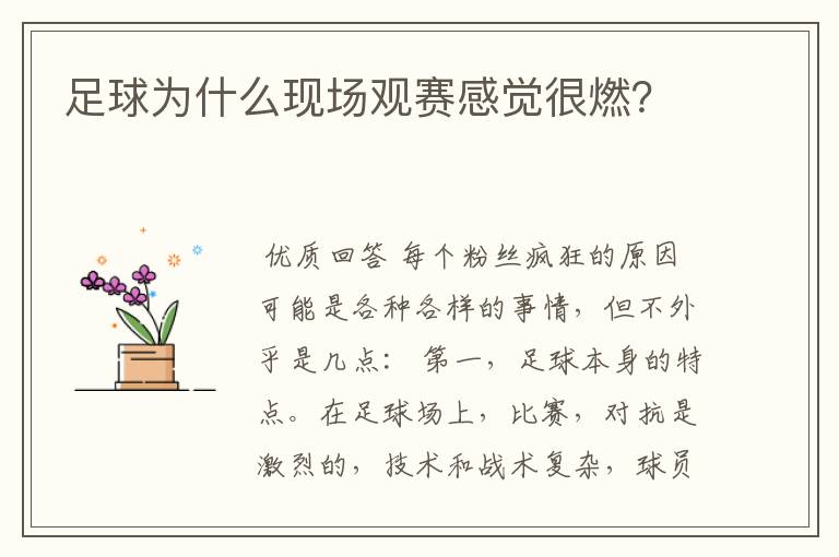 足球为什么现场观赛感觉很燃?