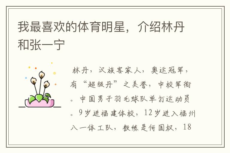 我最喜欢的体育明星,介绍林丹和张一宁