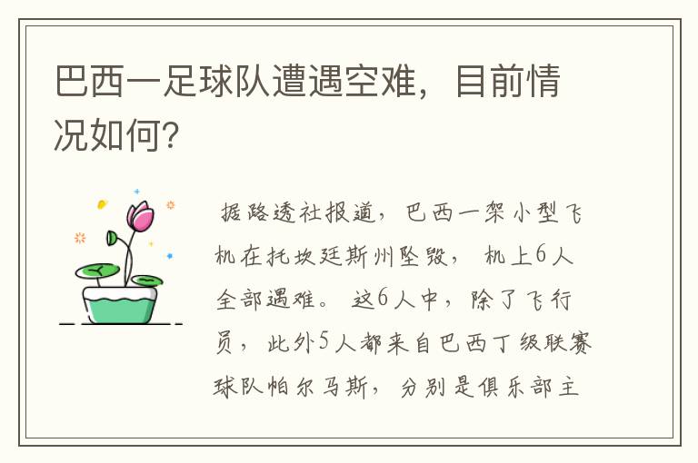 巴西一足球队遭遇空难,目前情况如何?
