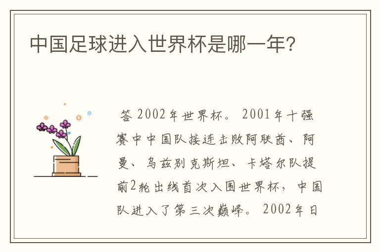 中国足球进入世界杯是哪一年?