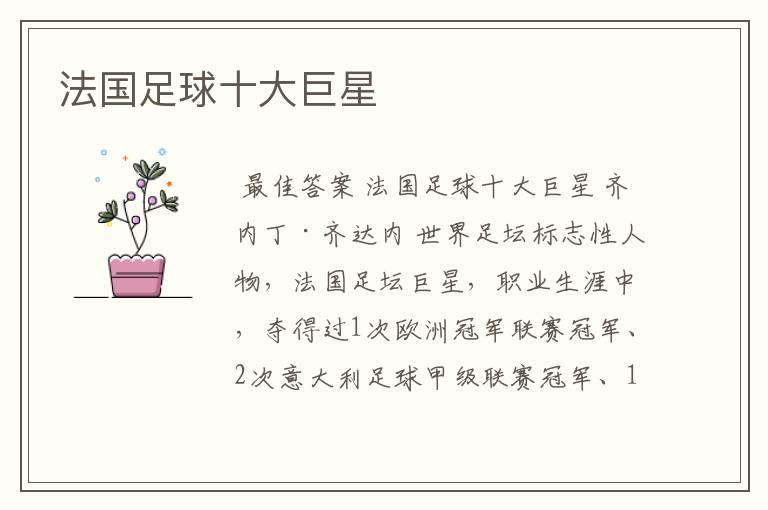 法国足球十大巨星
