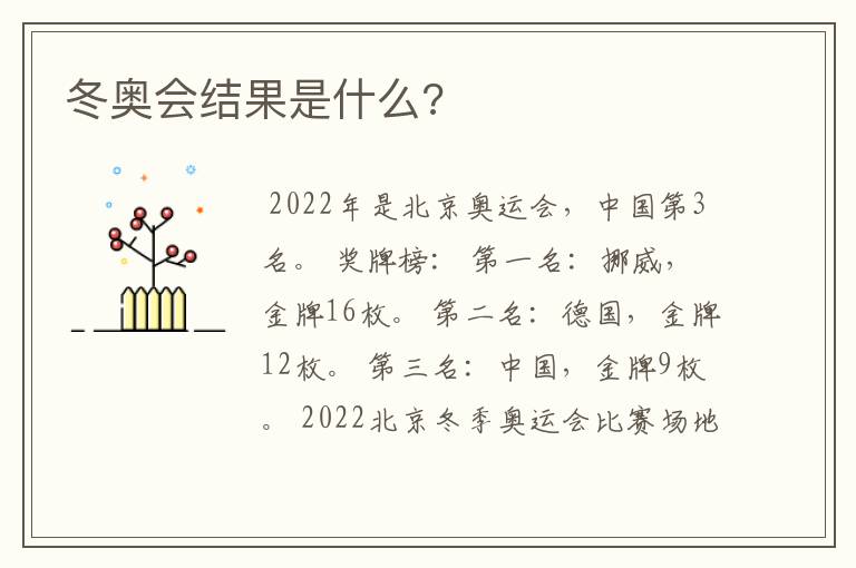 冬奥会结果是什么?