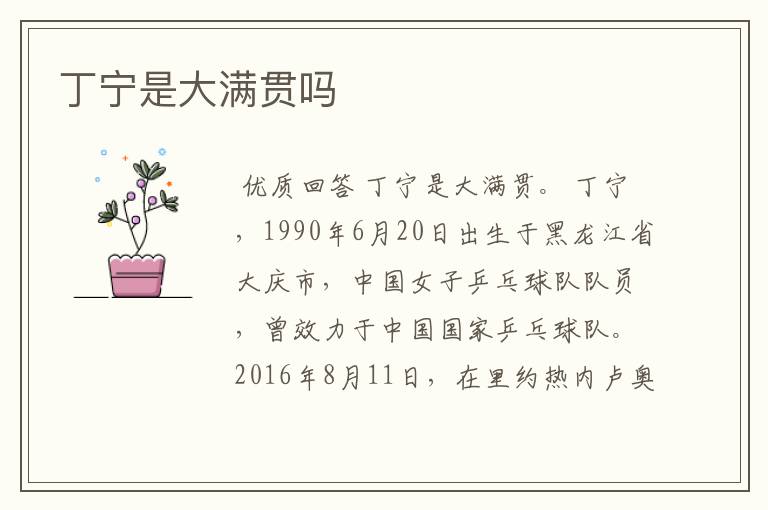 丁宁是大满贯吗