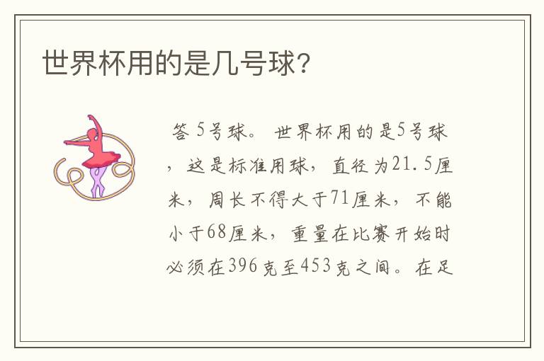 世界杯用的是几号球?