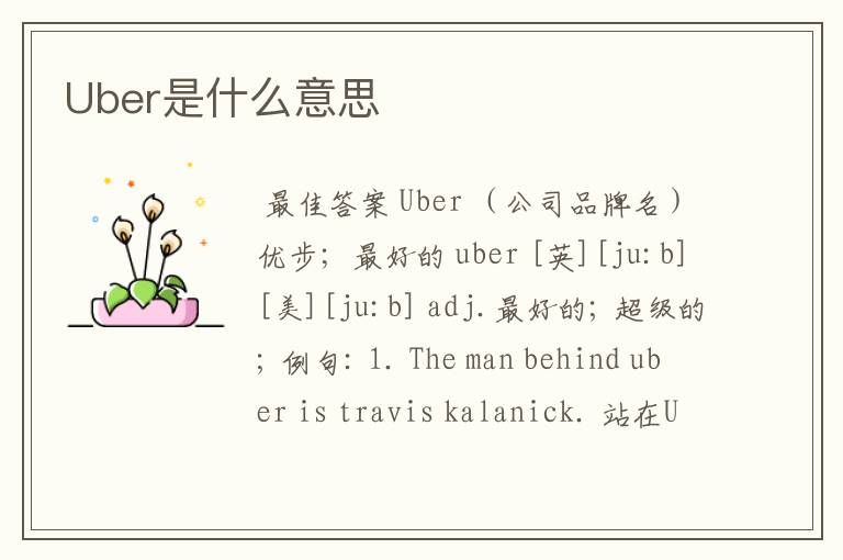 Uber是什么意思