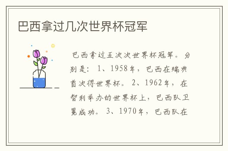 巴西拿过几次世界杯冠军