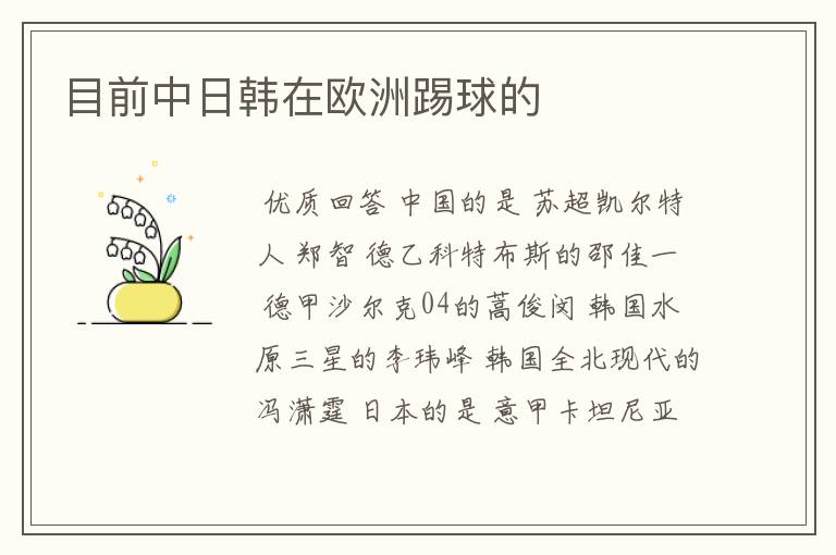 目前中日韩在欧洲踢球的
