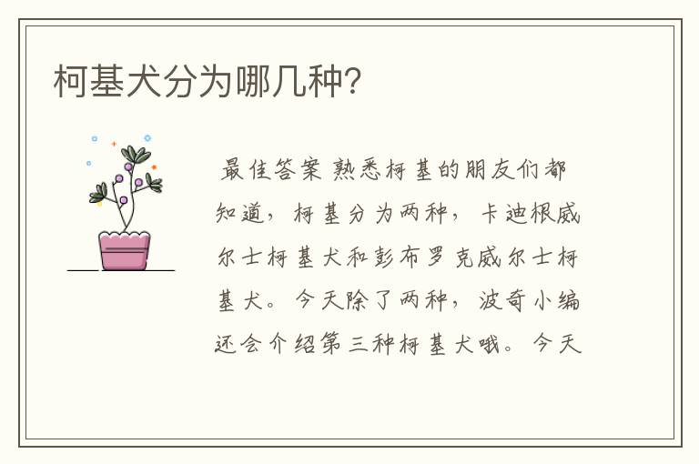 柯基犬分为哪几种?