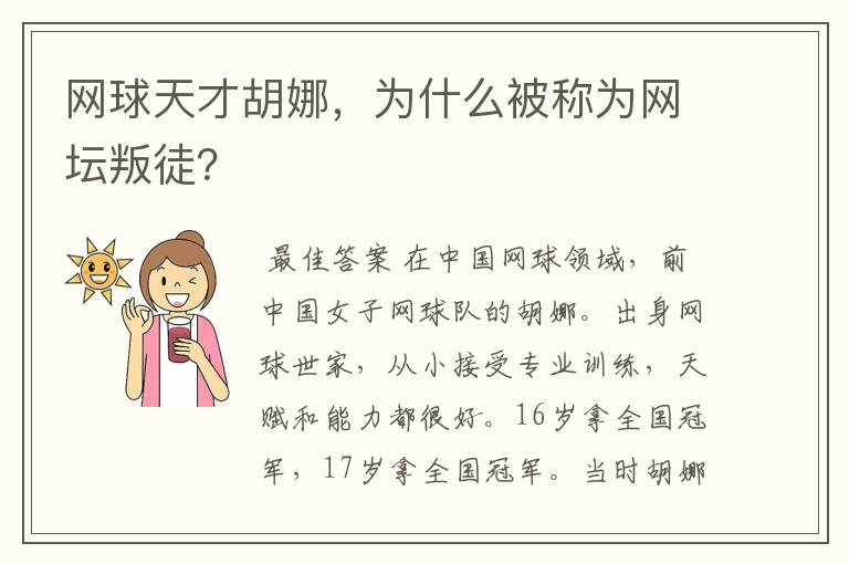 网球天才胡娜,为什么被称为网坛叛徒?