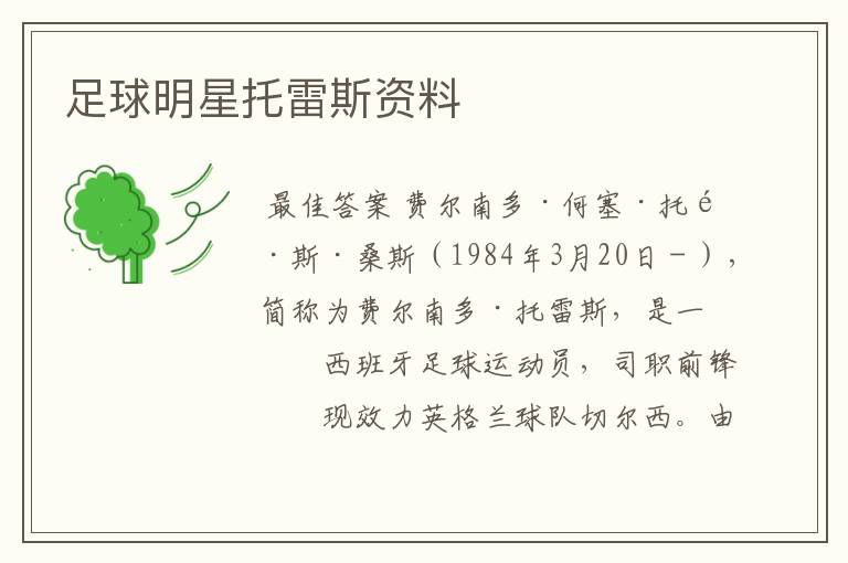 足球明星托雷斯资料