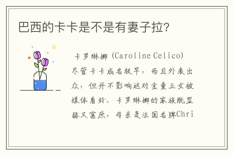 巴西的卡卡是不是有妻子拉?