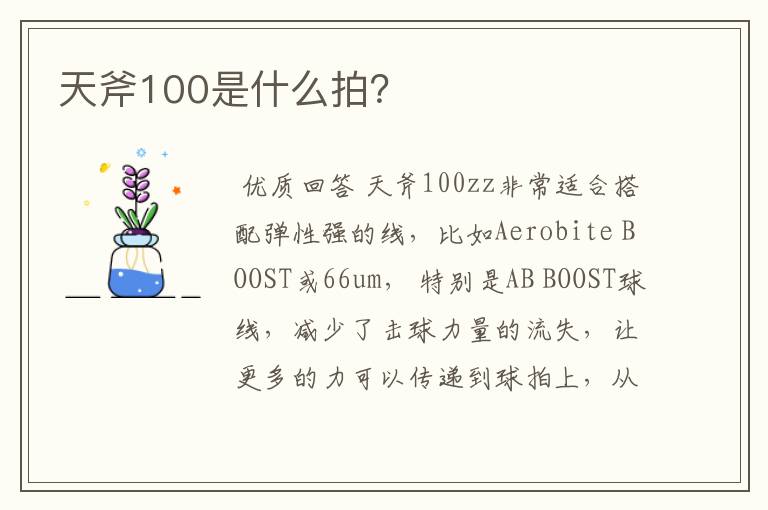 天斧100是什么拍?