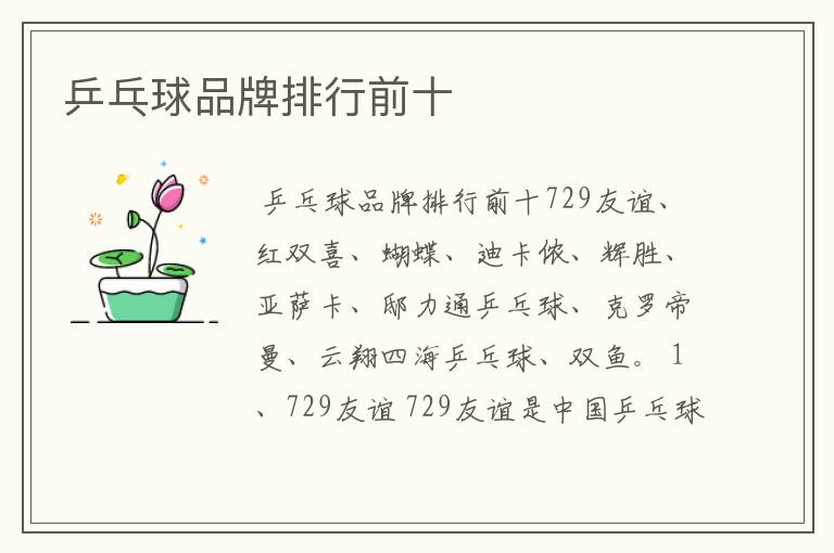 乒乓球品牌排行前十