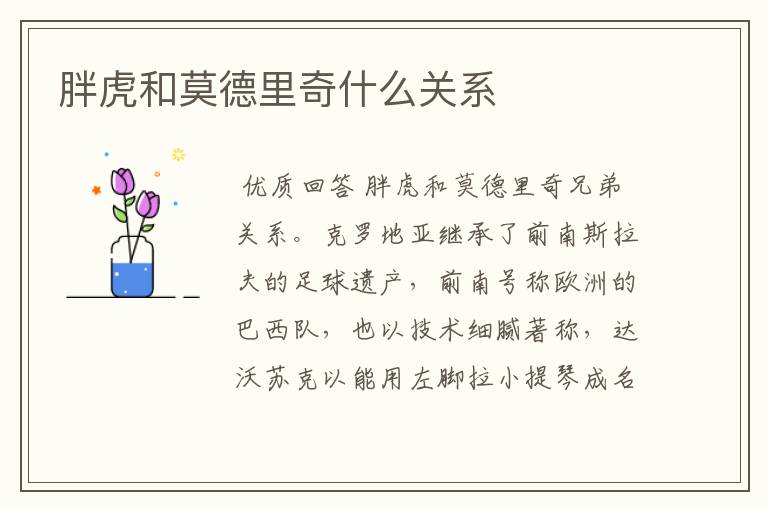 胖虎和莫德里奇什么关系