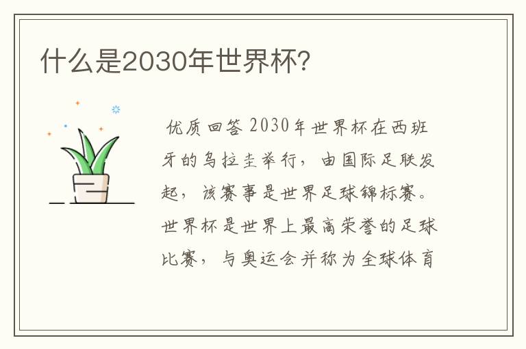 什么是2030年世界杯?