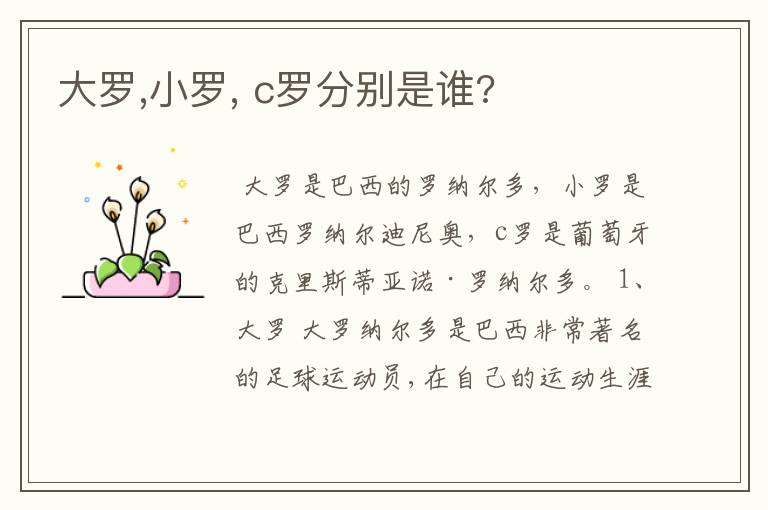 大罗,小罗, c罗分别是谁?